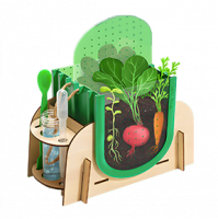 plant grow